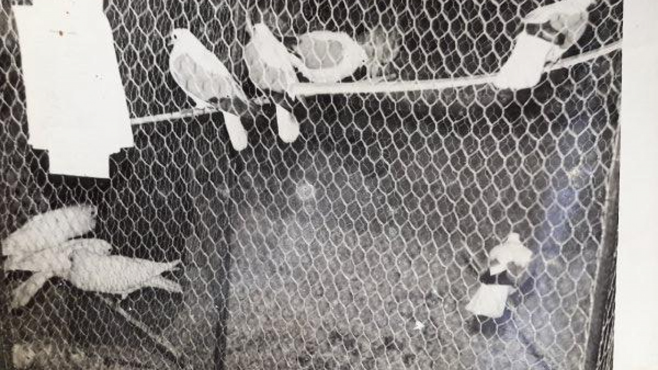 Fotografia fotogalérie Foto ZO