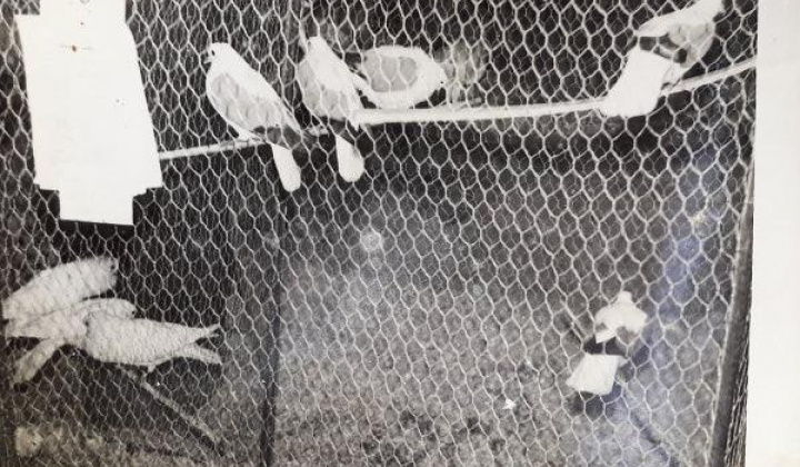 1. fotografia fotogalérie Foto ZO