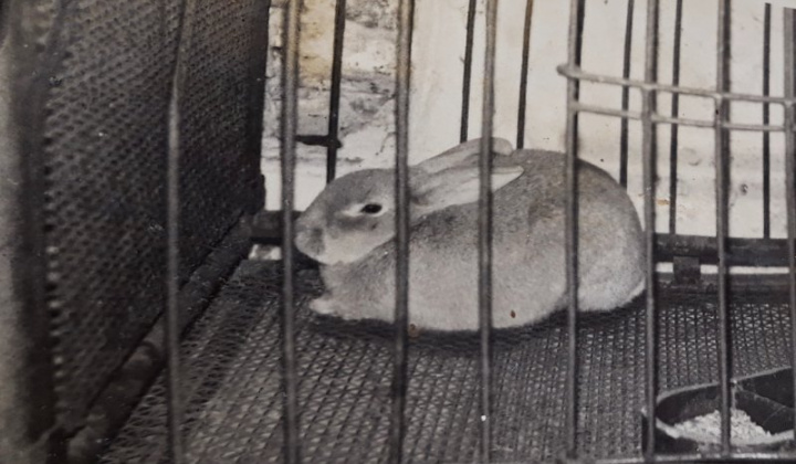 2. fotografia fotogalérie Foto ZO