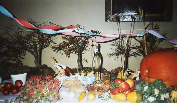 6. fotografia fotogalérie Foto ZO