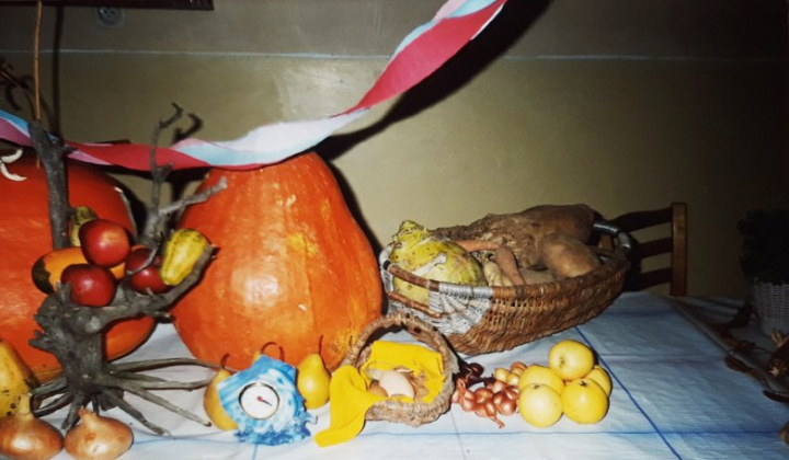 8. fotografia fotogalérie Foto ZO